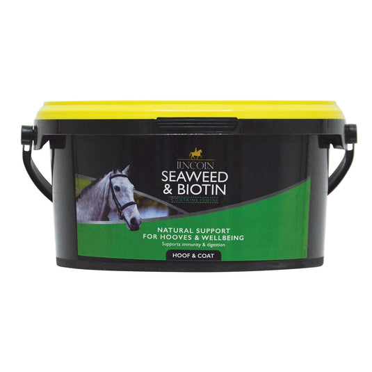 Lincoln Seaweed & Biotin - Ashurst Equestrian & Country