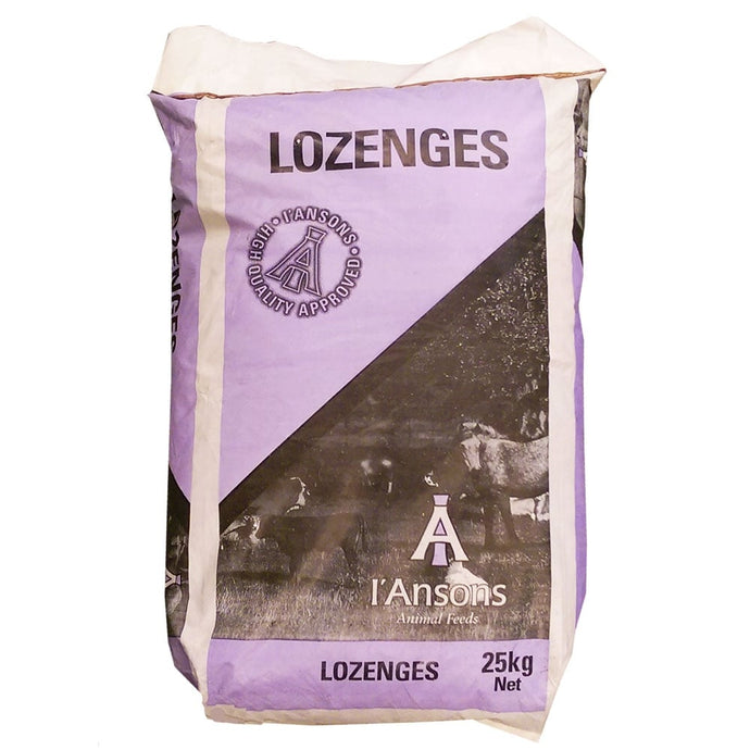 Linseed Lozenges 25kg - Ashurst Equestrian & Country