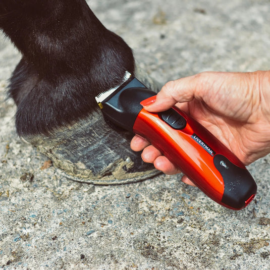 Liveryman Classic Rechargable Trimmer - Ashurst Equestrian & Country