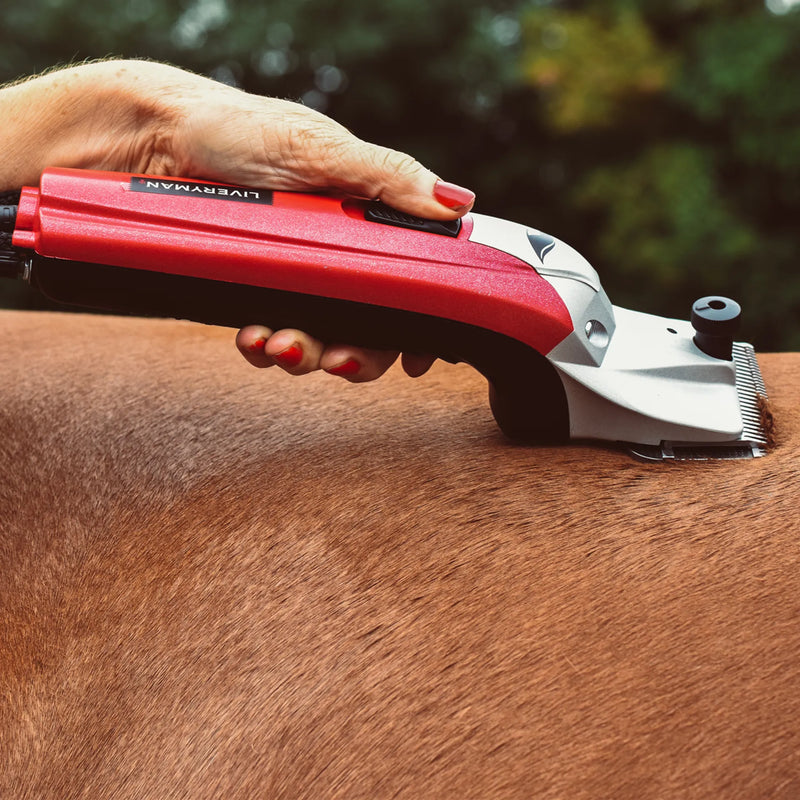 Load image into Gallery viewer, Liveryman Black Beauty Mains Clippers
