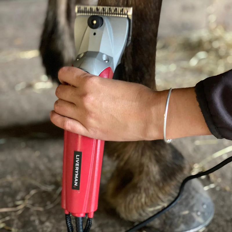 Load image into Gallery viewer, Liveryman Black Beauty Mains Clippers
