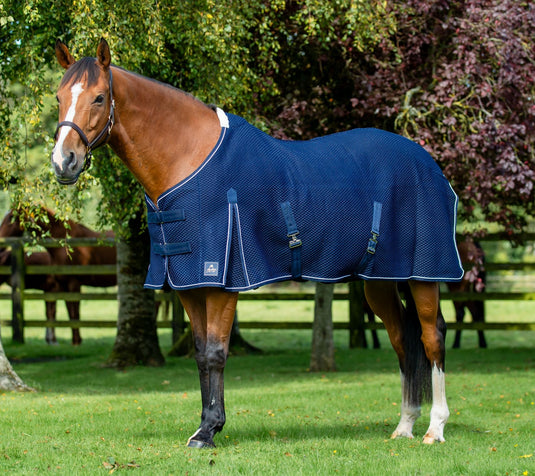 Mackey Shannon Air Cooler Navy/White/Navy 6'6 - Ashurst Equestrian & Country