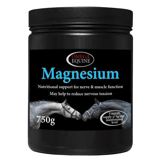 Magnesium - Ashurst Equestrian & Country