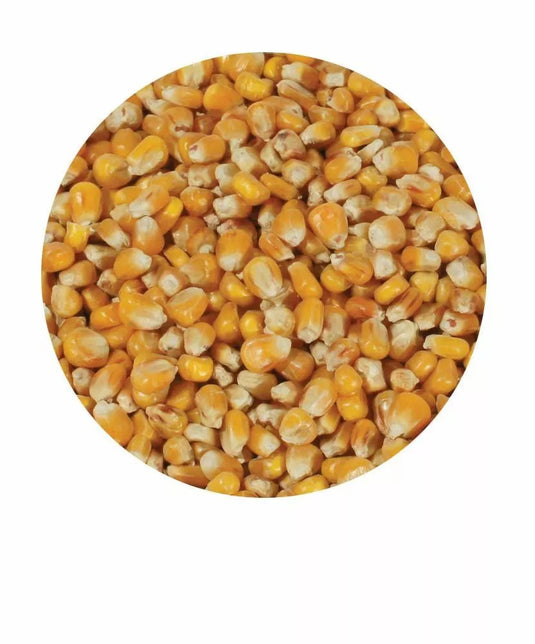 Maize Whole 20kg - Ashurst Equestrian & Country