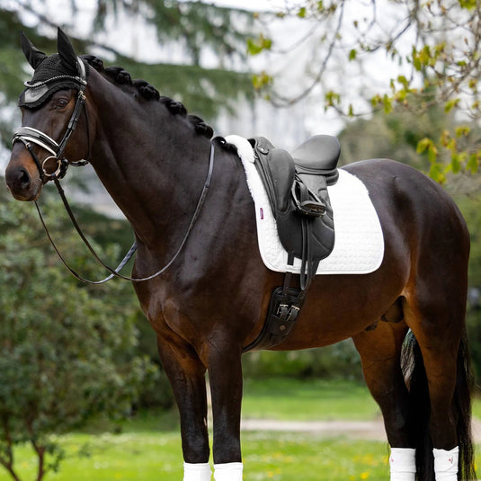 Merino+ Half Lined Suede Dressage Square White/White - Ashurst Equestrian & Country