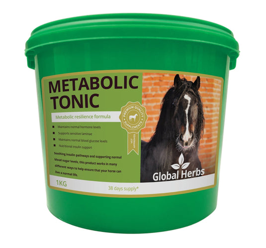 Metabolic Tonic 1kg - Global Herbs - Ashurst Equestrian & Country