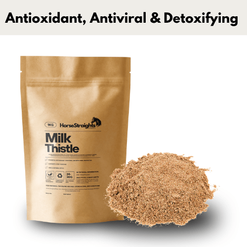 Milk Thistle Powder - Ashurst Equestrian & Country