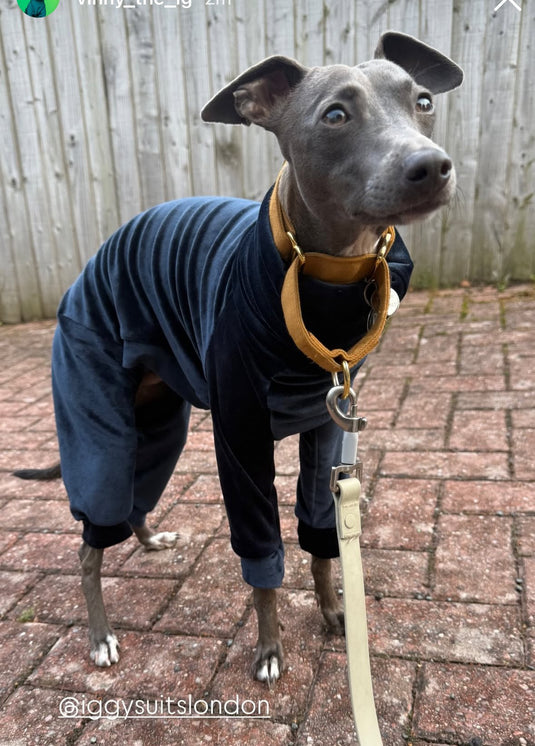 Mink Velour Jersey Suit - Navy Blue - Ashurst Equestrian & Country