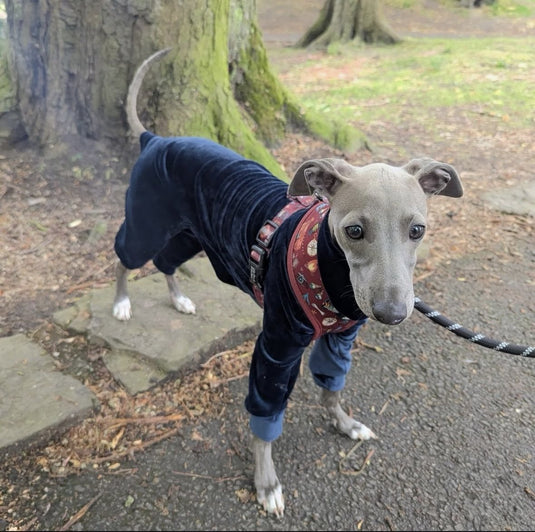 Mink Velour Jersey Suit - Navy Blue - Ashurst Equestrian & Country