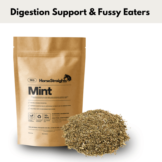 Mint - Ashurst Equestrian & Country