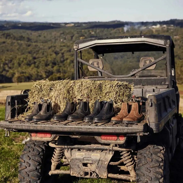 Mongrel K9 Dealer Boot - Ashurst Equestrian & Country