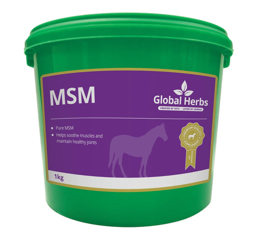MSM 1kg - Global Herbs - Ashurst Equestrian & Country