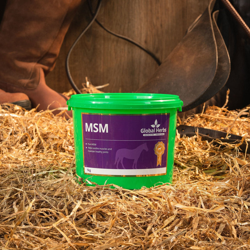 Load image into Gallery viewer, MSM 1kg - Global Herbs - Ashurst Equestrian &amp; Country
