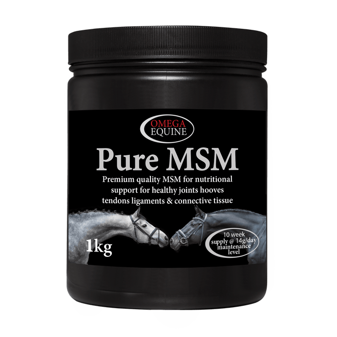 MSM - Ashurst Equestrian & Country