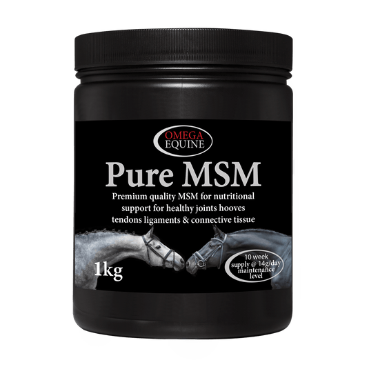 MSM - Ashurst Equestrian & Country