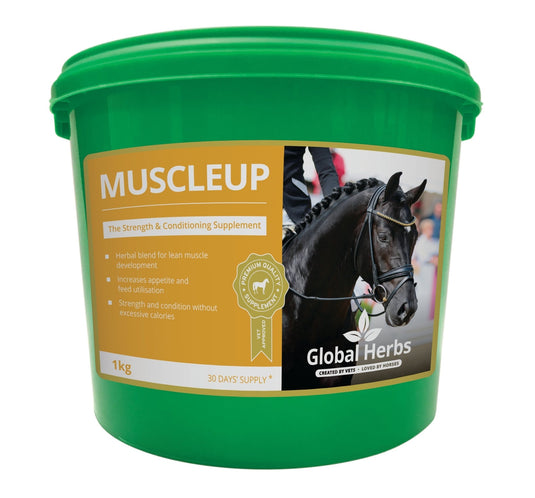 MuscleUp 1kg - Global Herbs - Ashurst Equestrian & Country