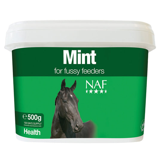 Naf Mint - Ashurst Equestrian & Country