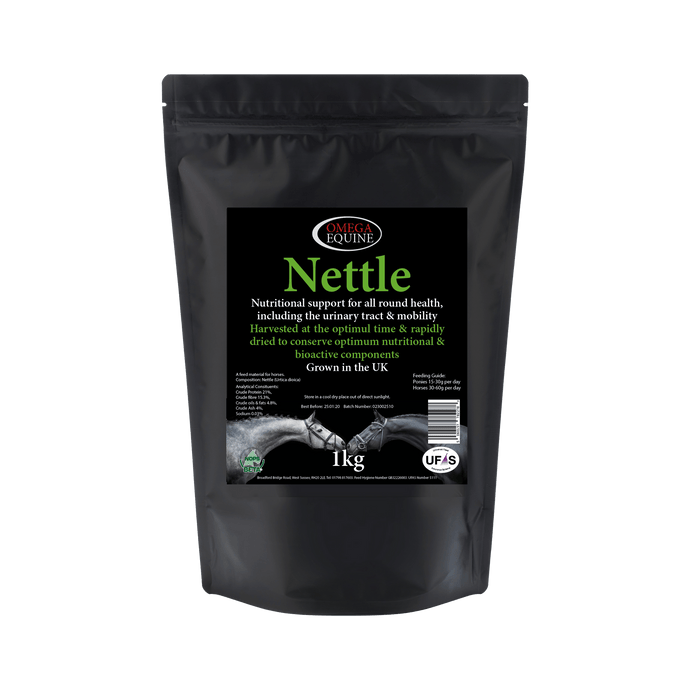 Nettle - Ashurst Equestrian & Country