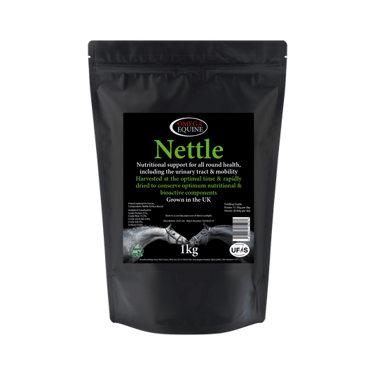 Nettle - Ashurst Equestrian & Country