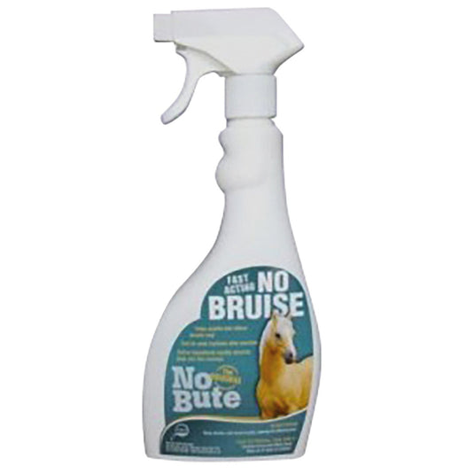 No Bruise - Ashurst Equestrian & Country
