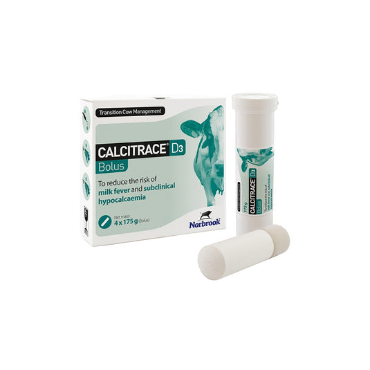 Norbrook Calcitrace D3 Bolus - Ashurst Equestrian & Country