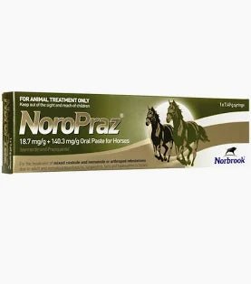 NoroPraz Oral Horse Wormer - 700kg BW Syringe - Ashurst Equestrian & Country