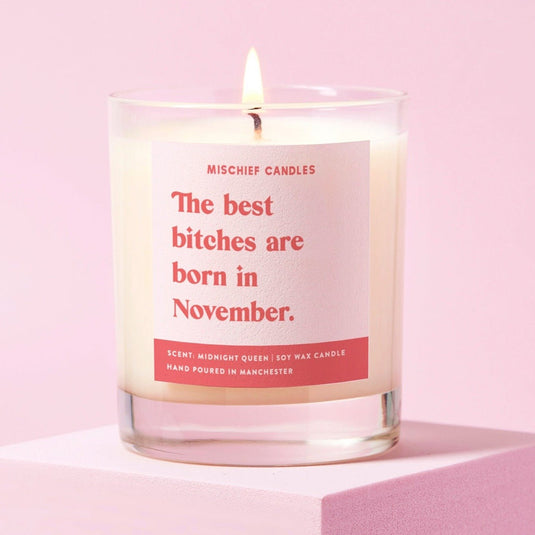 November Birthday Gift Funny Birthday Gift Candle November Birthday Bitch - Ashurst Equestrian & Country
