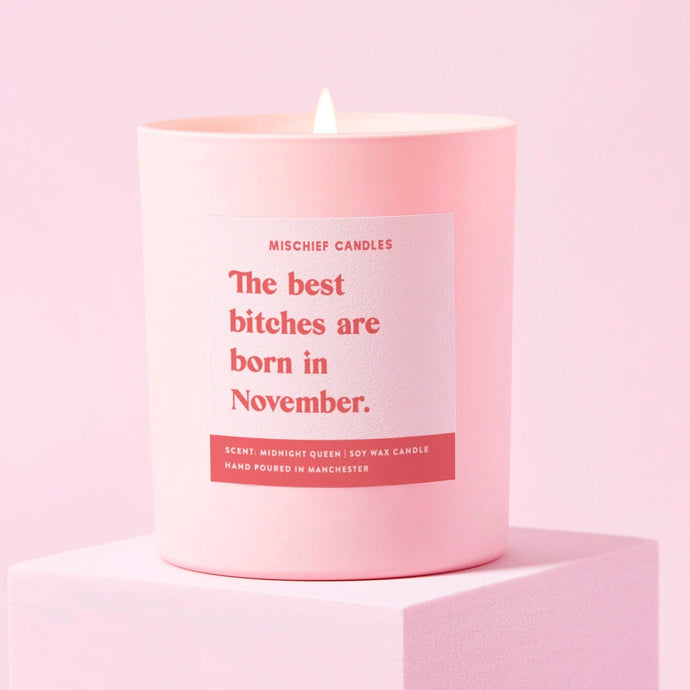 November Birthday Gift Funny Birthday Gift Candle November Birthday Bitch - Ashurst Equestrian & Country