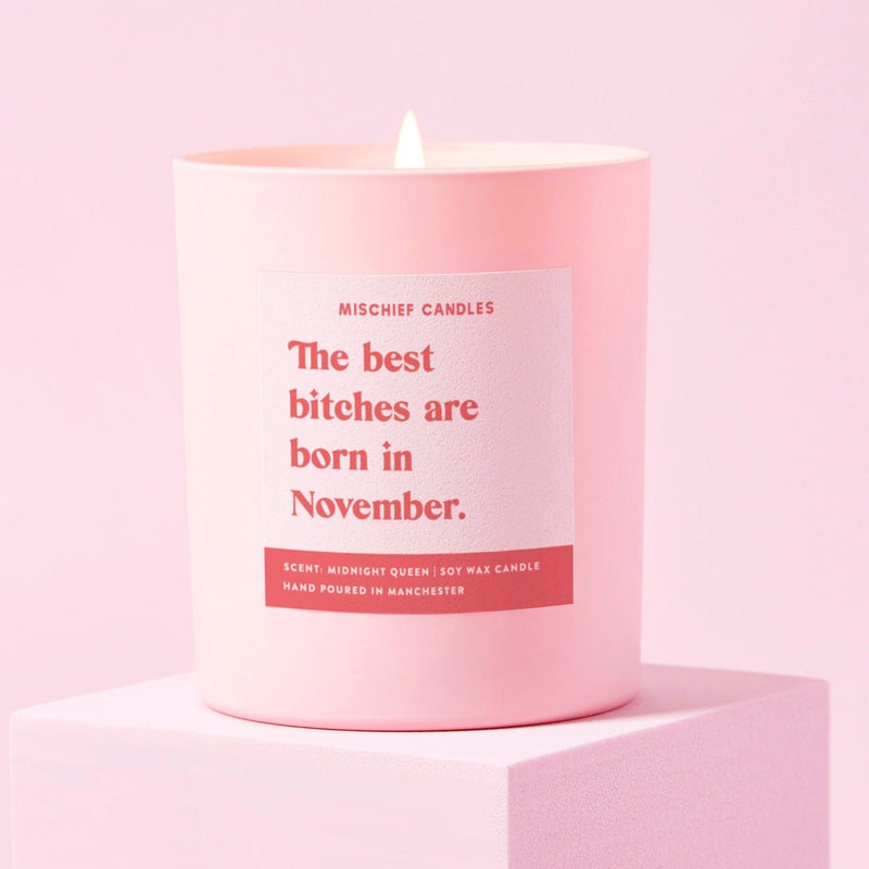 Load image into Gallery viewer, November Birthday Gift Funny Birthday Gift Candle November Birthday Bitch - Ashurst Equestrian &amp; Country

