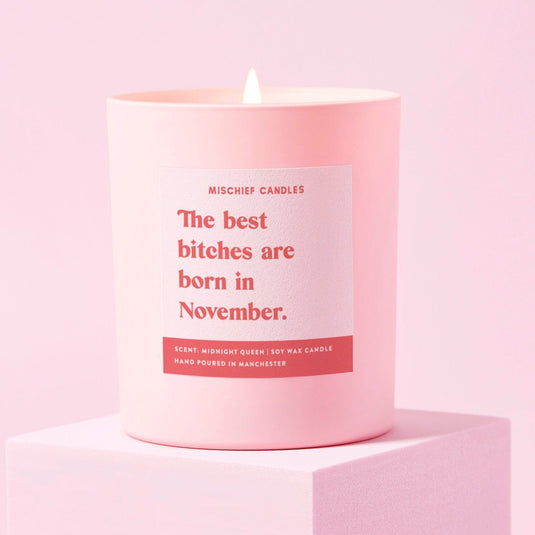 November Birthday Gift Funny Birthday Gift Candle November Birthday Bitch - Ashurst Equestrian & Country