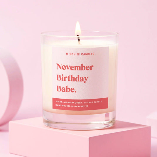November Birthday Gift Funny Gift Candle November Birthday Babe - Ashurst Equestrian & Country