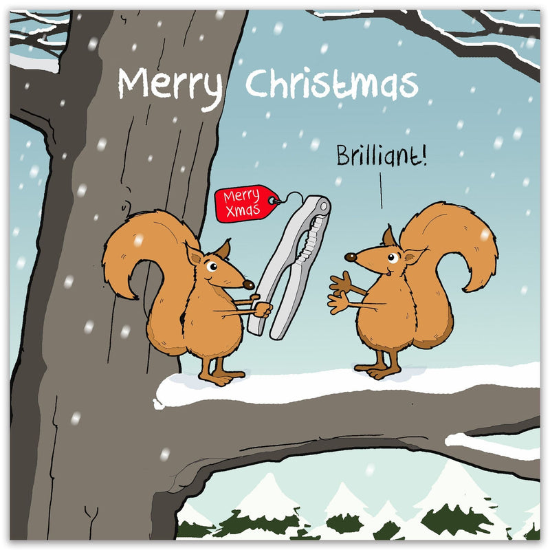 Load image into Gallery viewer, Nutcracker - Funny Christmas Card - Ashurst Equestrian &amp; Country
