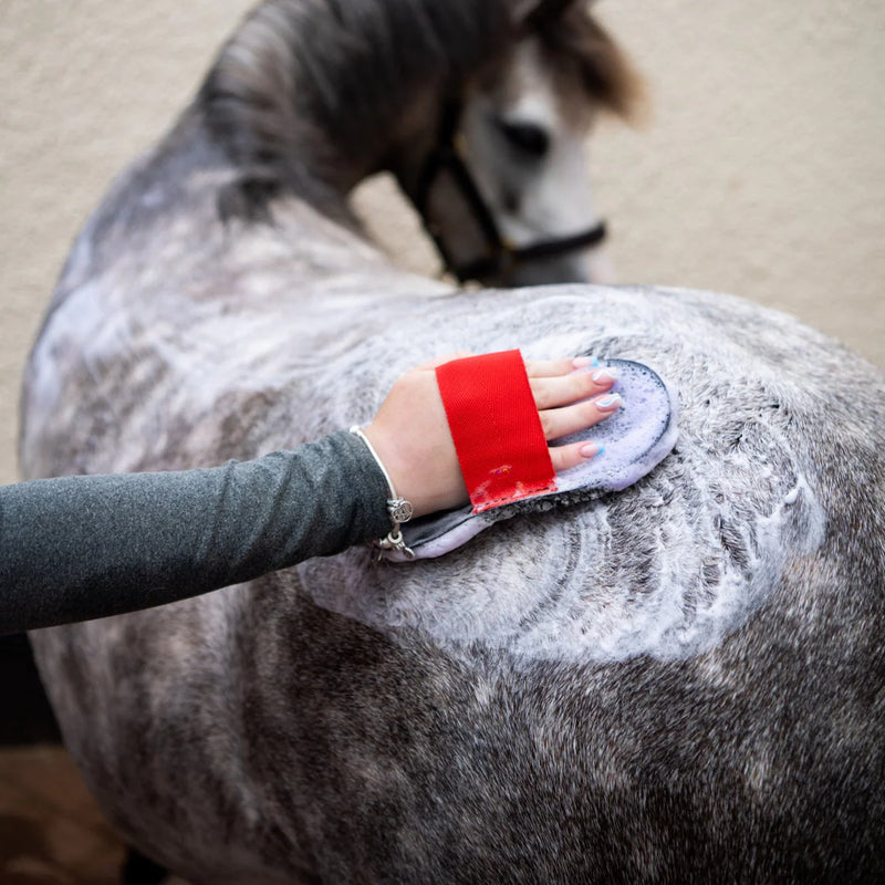 Load image into Gallery viewer, KM Elite Super Groomer Deluxe
