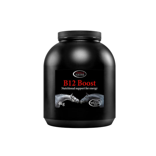 Omega Equine Biotin - Ashurst Equestrian & Country