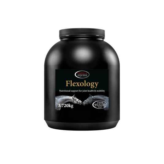 Omega Equine Flexology - Ashurst Equestrian & Country