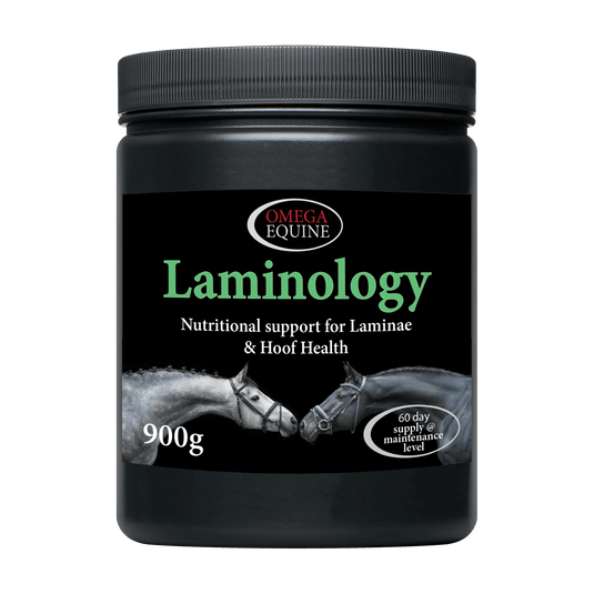 Omega Equine Laminology - Ashurst Equestrian & Country