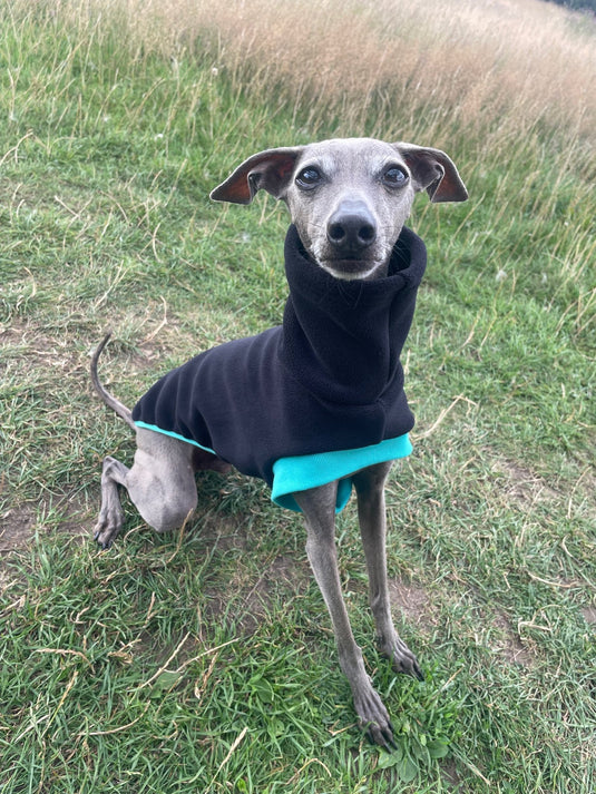 Open - Leg Fleece Vest - Black & Aqua - Ashurst Equestrian & Country