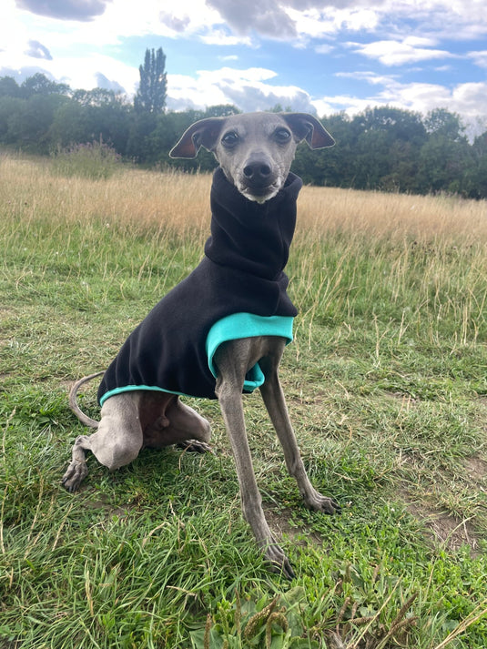 Open - Leg Fleece Vest - Black & Aqua - Ashurst Equestrian & Country