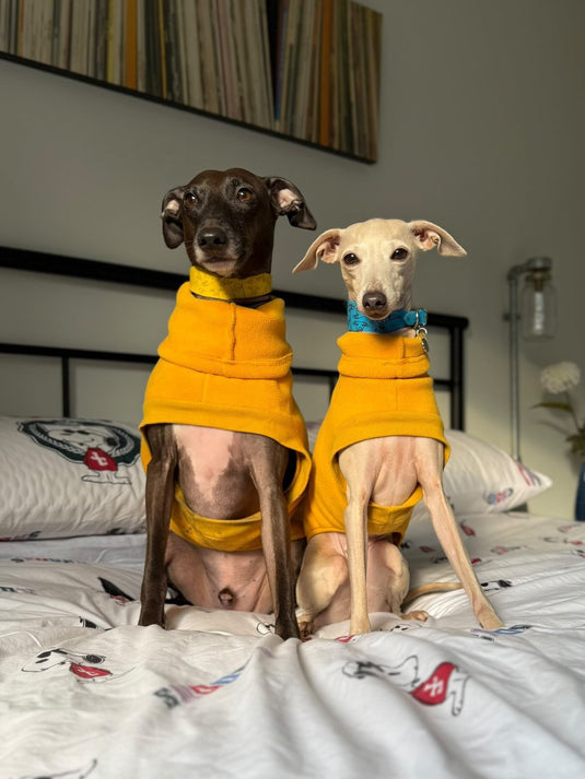 Open - Leg Fleece Vest - Coral - Ashurst Equestrian & Country