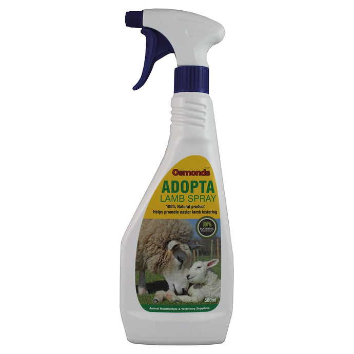 Osmonds Adopta Lamb - Ashurst Equestrian & Country