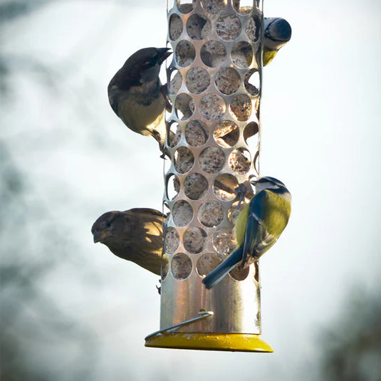 Peckish Extra Goodness Feeder