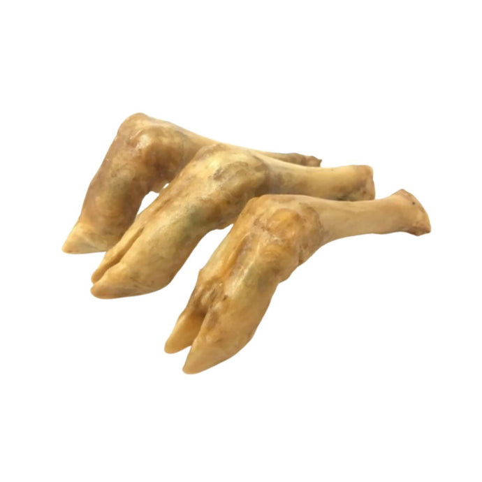 Paddock Farm Lamb Trotters - Ashurst Equestrian & Country