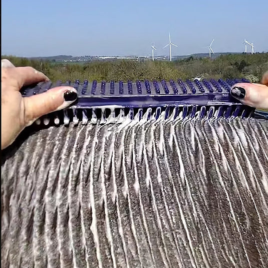 Parallax Nimbrush Long Reach Grooming Brush - Ashurst Equestrian & Country