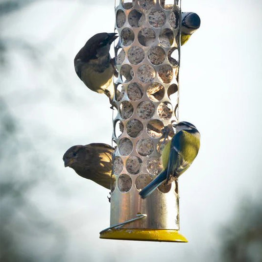 Peckish Extra Goodness Feeder - Ashurst Equestrian & Country