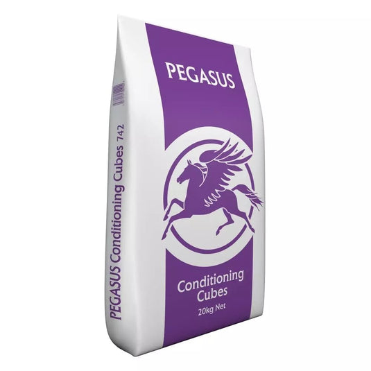 Pegasus Conditioning Cubes 20kg - Ashurst Equestrian & Country