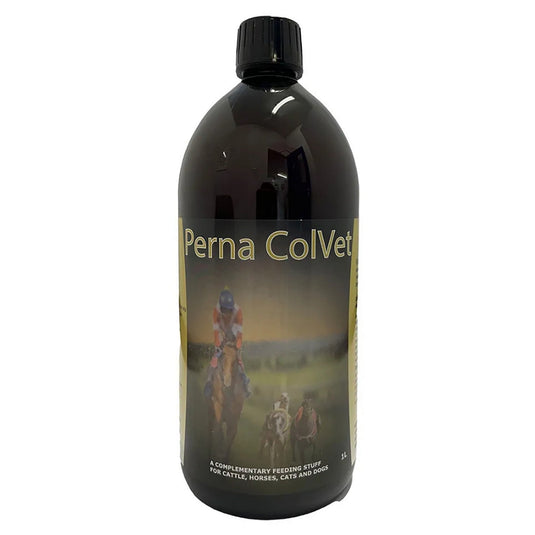 Perna Colvet - Ashurst Equestrian & Country