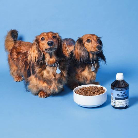 Pooch & Mutt Salmon Oil - Ashurst Equestrian & Country