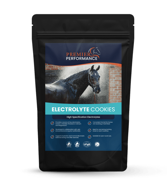 Premier Performance Electrolyte Cookies 10PK - Ashurst Equestrian & Country