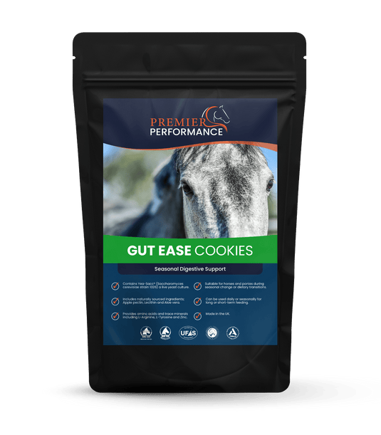 Premier Performance Gut Ease Cookies 10PK - Ashurst Equestrian & Country