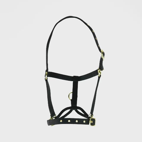 Load and play video in Gallery viewer, ARMA Control Headcollar
